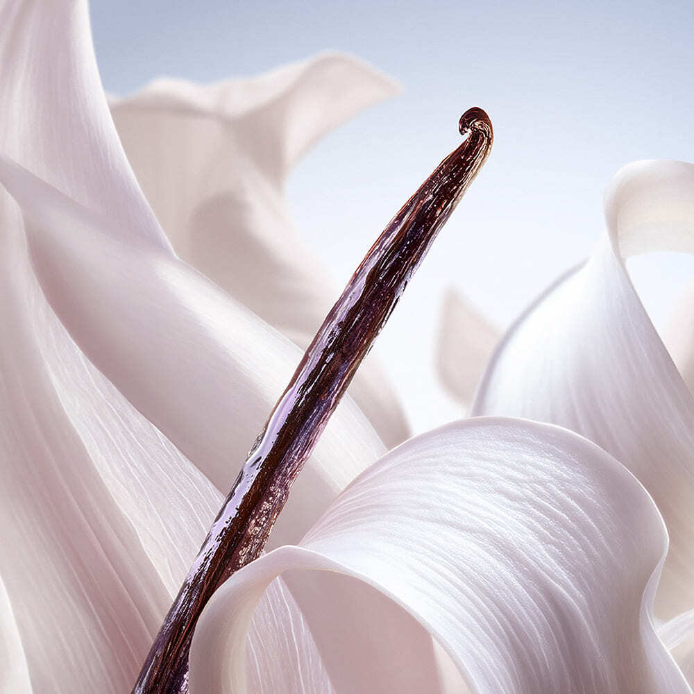 LA VIE EST BELLE VANILLE NUDE HAIR AND BODY MIST